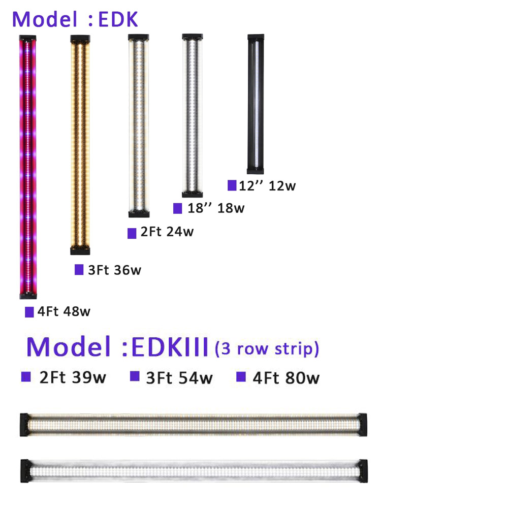e2.jpg